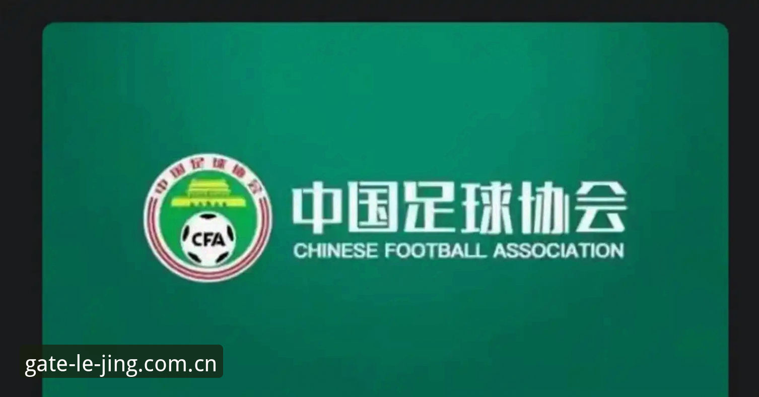 乐竞体育iOS版 足球反腐风暴实用指南:如何从足协禁足名单看行业整顿信号